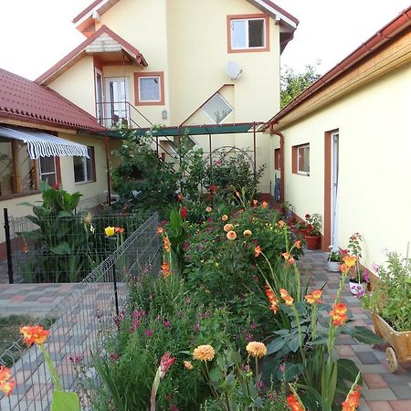 Maria-Antonia Mangalia Exterior foto